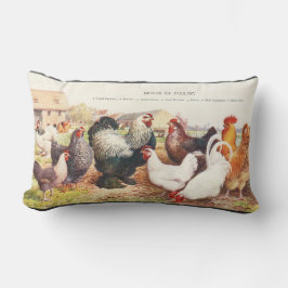 Cojín Lumbar Colorido grupo de pollos vintage al lanzar almohad