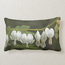 Corazones sangrantes blancos Dicentra Hunter Green