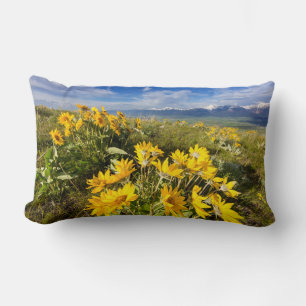 Cojín Lumbar Cordillera Nacional de Bison