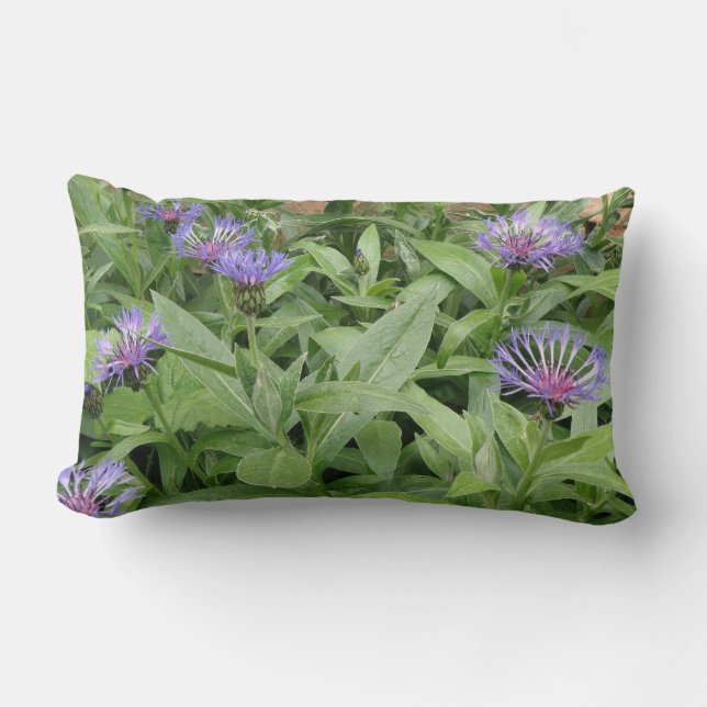Cojín Lumbar Cornflowers Pillow (Anverso)