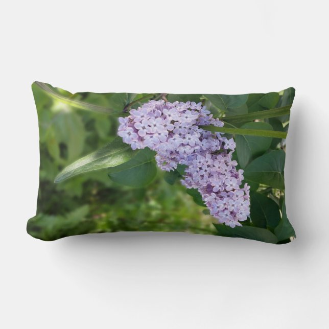 Cojín Lumbar cortina lilac (Anverso)