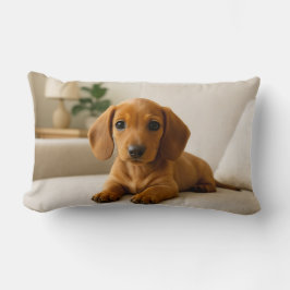 Cojín Lumbar Cosy Dachshund
