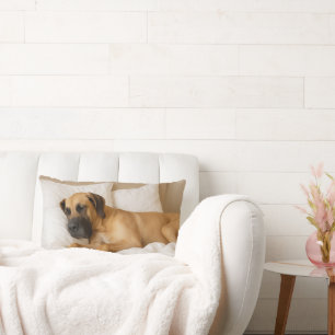 Cojín Lumbar Cosy Great Dane Lumbar Pillow