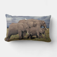 Cría de elefante africano con familia