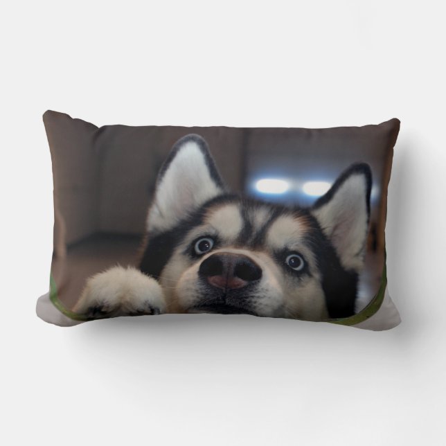 Cojín Lumbar ¿Cualquiera hacia fuera allí? (Anverso)