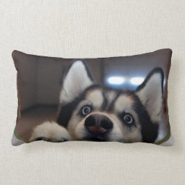 Cojín Lumbar ¿Cualquiera hacia fuera allí?