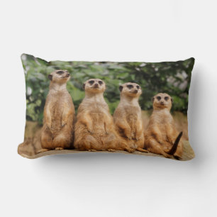 Cojín Lumbar Cuarteto de Meerkat 001