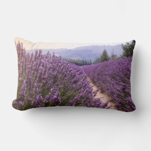 Cojín Lumbar Cuchillo de campo de lavanda