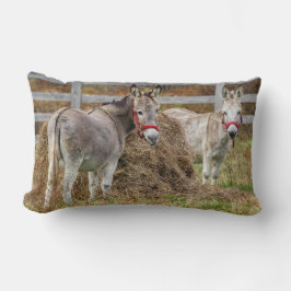 Cojín Lumbar Cute burros
