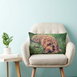 Cojín Lumbar Cute Golden Doodle