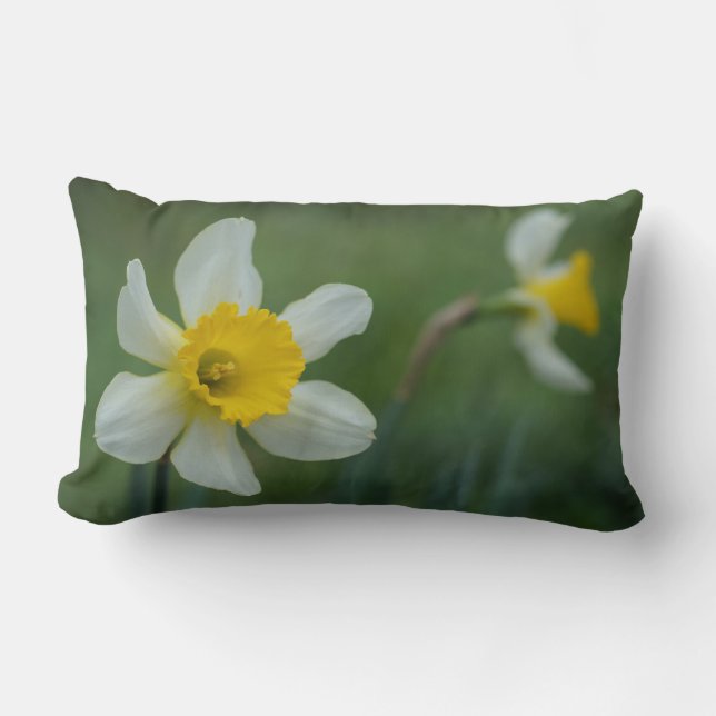 Cojín Lumbar ¡Daff-o-dilly! (Anverso)