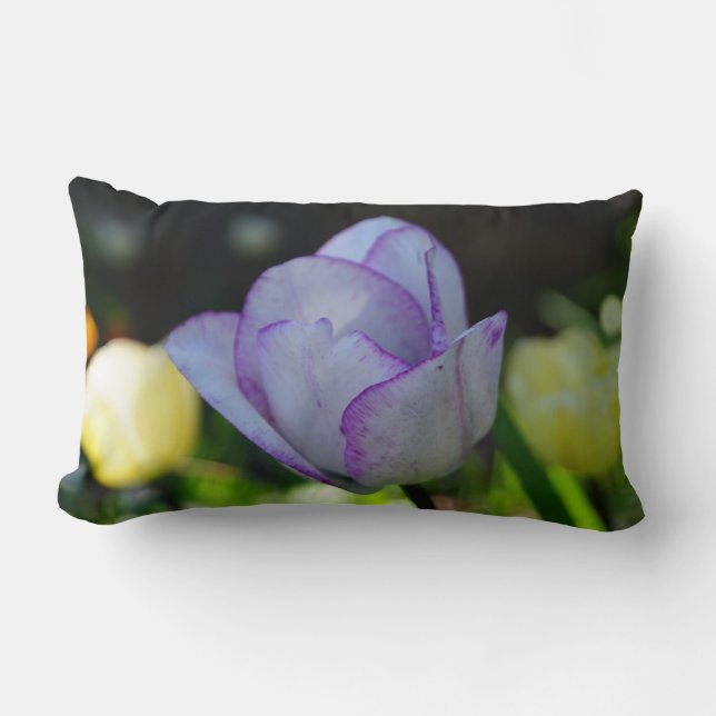 Cojín Lumbar Daffodils de belleza (Anverso)