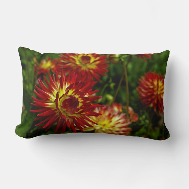 Cojín Lumbar Dalia de verano Flor (Anverso)