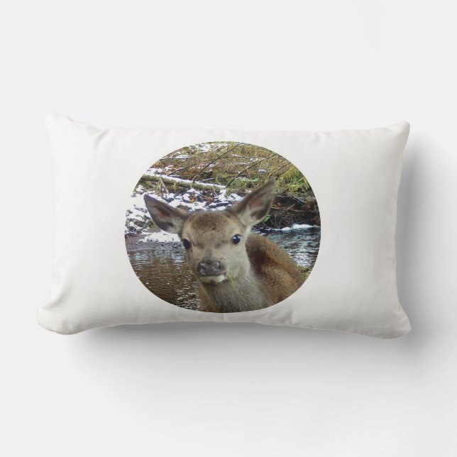 Cojín Lumbar Depósito de bebé reversible (Anverso)