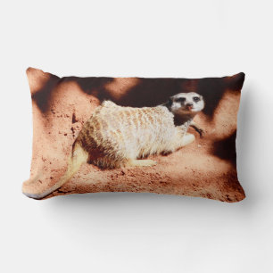 Cojín Lumbar Descubrimientos polvorientos: Meerkat con suciedad