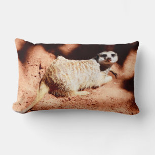 Cojín Lumbar Descubrimientos polvorientos: Meerkat con suciedad
