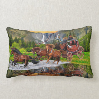 COJÍN LUMBAR DILIGENCIA DE WELLS FARGO