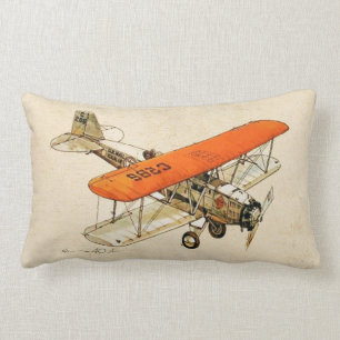 Cojín Lumbar Diseño de la aviación