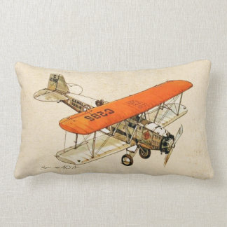 Cojín Lumbar Diseño de la aviación