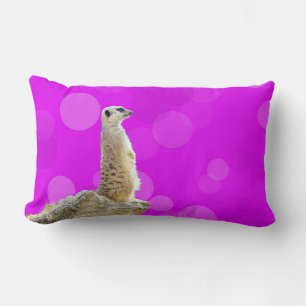 Cojín Lumbar Diseño De Meerkat De Alerta Rosa Y Púrpura,