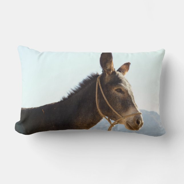 Cojín Lumbar Donkey Mule Farm Animal Country Destruido (Anverso)