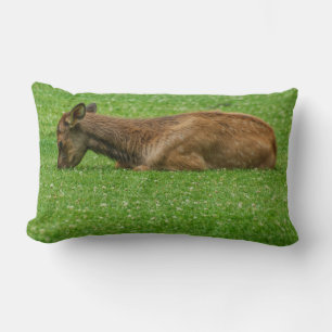 Cojín Lumbar Dormir pequeño uno