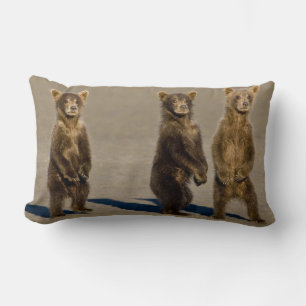 Cojín Lumbar EE. UU. Alaska. Cachorros de oso pardo costero