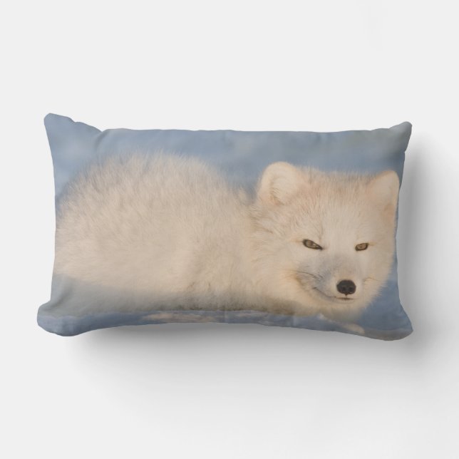 Cojín Lumbar EE.UU., Alaska, Fox (Anverso)