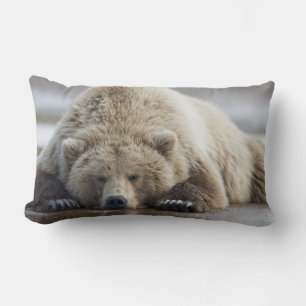 Cojín Lumbar EE. UU., Alaska, Parque Nacional Katmai, Oso Pardo