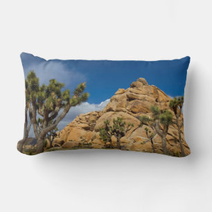 Cojín Lumbar EE.UU., California, Parque Nacional Joshua Tree