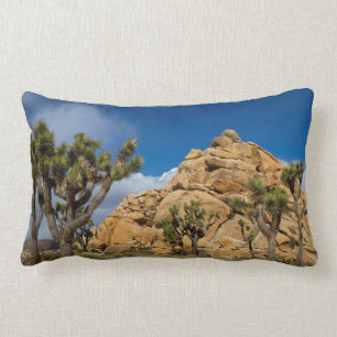 Cojín Lumbar EE.UU., California, Parque Nacional Joshua Tree