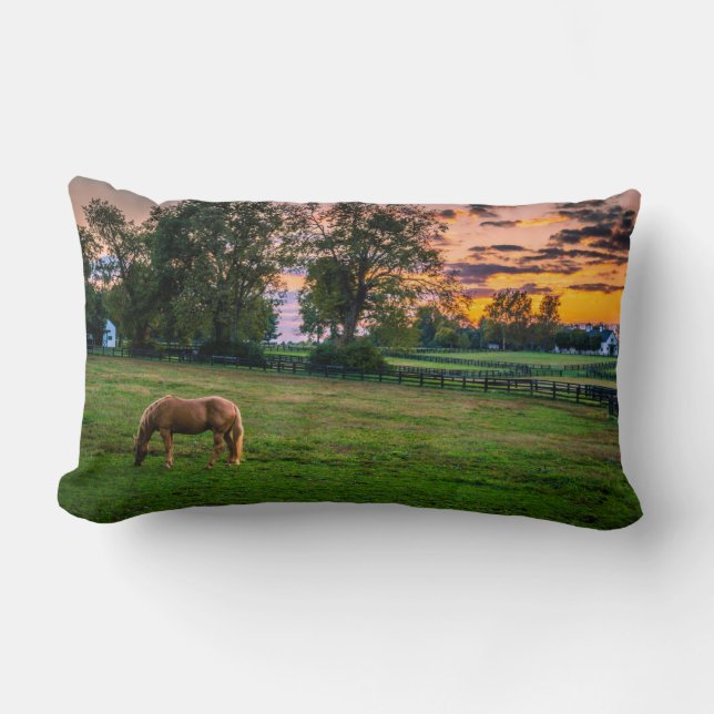 Cojín Lumbar EE.UU., Lexington, Kentucky. Caballo solitario al  (Anverso)