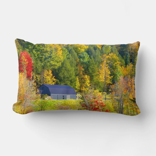 Cojín Lumbar EE. UU., Vermont. Follaje de otoño a lo largo de l (Anverso)