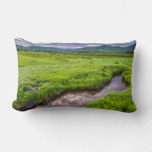 Cojín Lumbar EE.UU., Virginia Occidental, Davis. Paisaje 2