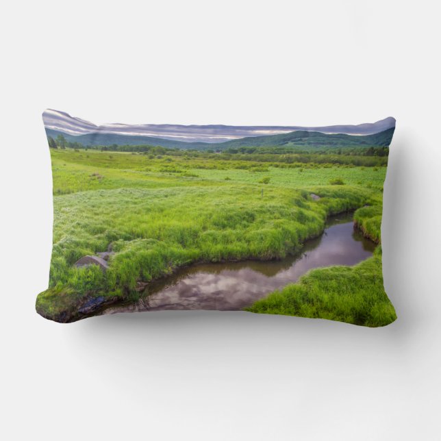 Cojín Lumbar EE.UU., Virginia Occidental, Davis. Paisaje 2 (Anverso)