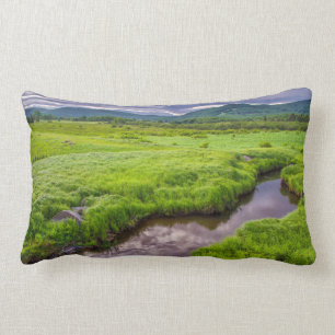 Cojín Lumbar EE.UU., Virginia Occidental, Davis. Paisaje 2