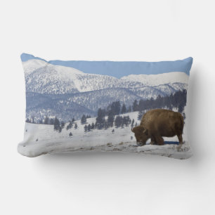 Cojín Lumbar EE. UU., WY, Parque Nacional Yellowstone, Bisonte