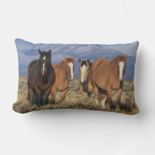 Cojín Lumbar EE. UU., Wyoming, cerca del grupo de caballos de C