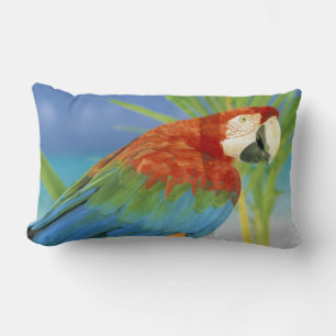 Cojín Lumbar EEUU, Hawaii. Paro