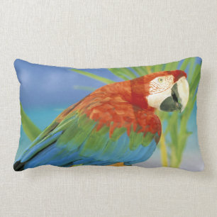 Cojín Lumbar EEUU, Hawaii. Paro