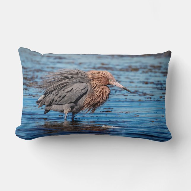 Cojín Lumbar Egret Reddish en North Beach (Anverso)