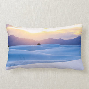 Cojín Lumbar El blanco enarena el monumento nacional 3