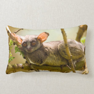 Cojín Lumbar El Bushbaby de Senegal (Galago Senegalensis)