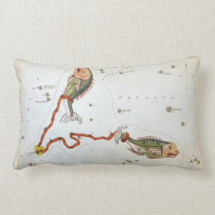 Cojín Lumbar El espejo de Urania, la constelación de los viscos