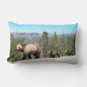 Cojín Lumbar El oso grizzly salvaje mamá y cobs en piedra amari