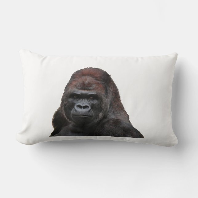 COJÍN LUMBAR EL SABIO (Anverso)