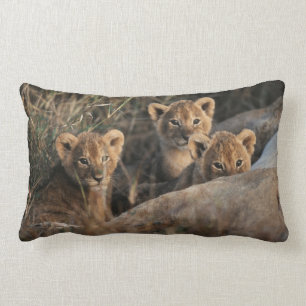 Cojín Lumbar El trío de cobs de leones con madre