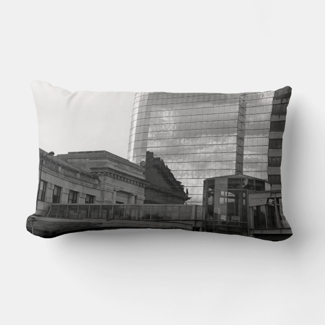 Cojín Lumbar El vínculo (Anverso)