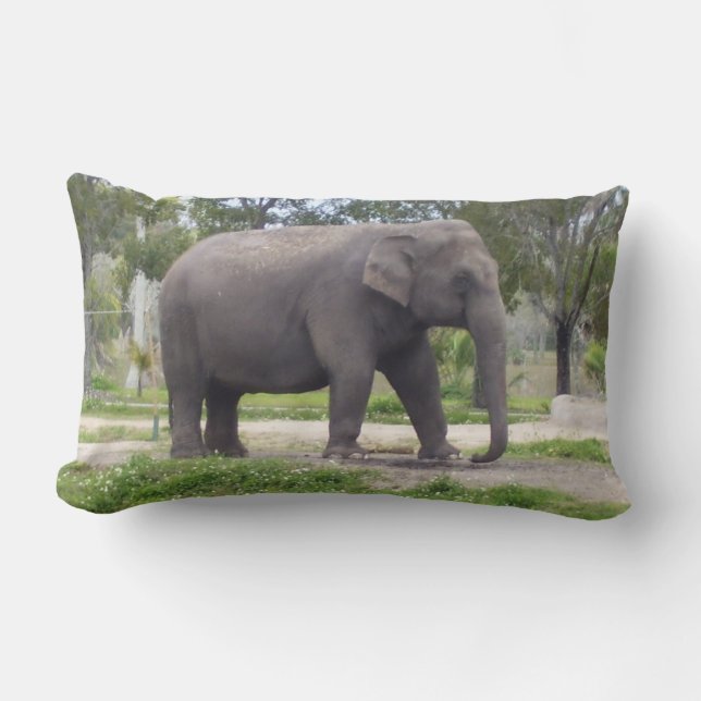 Cojín Lumbar Elefante en tranquilo bosque extendido (Anverso)