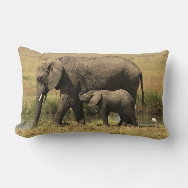 Cojín Lumbar Elefantes africanos (Anverso)